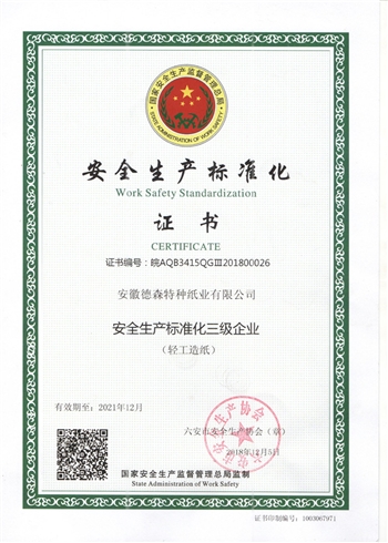 安全生產(chǎn)標準化